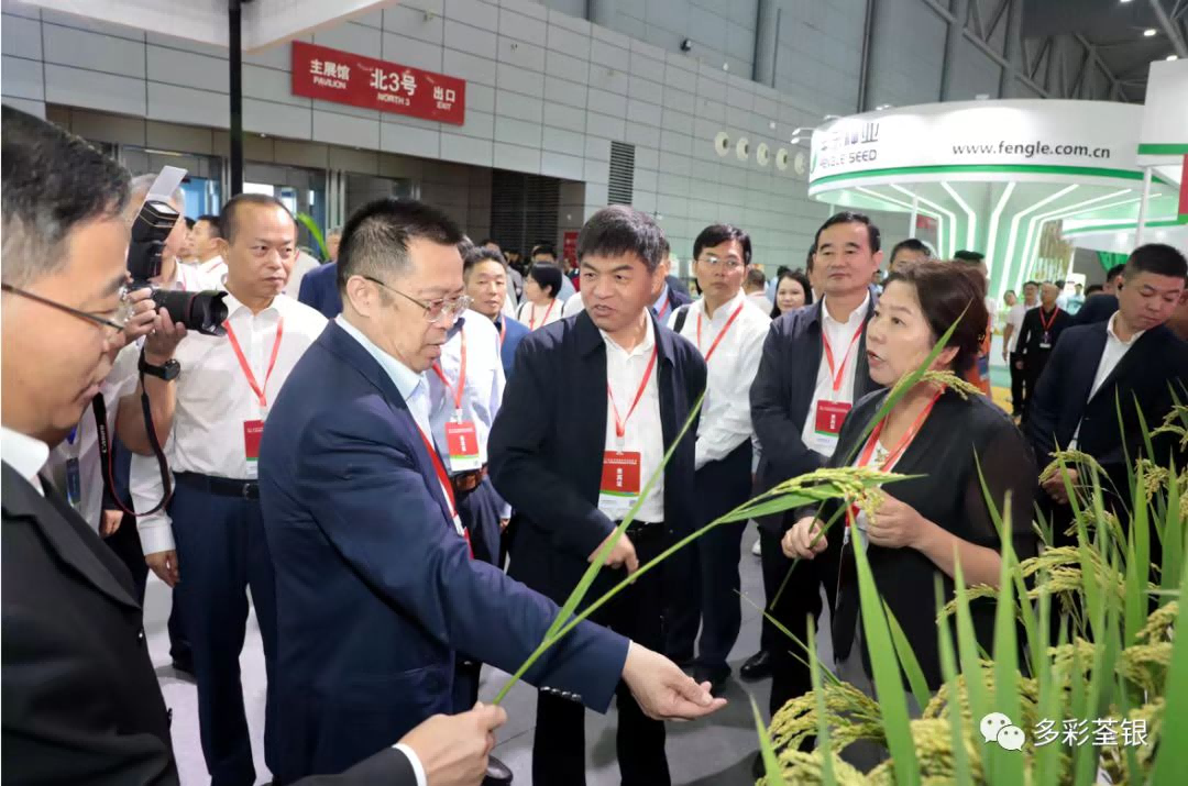 圖片4.png 圖片4.png